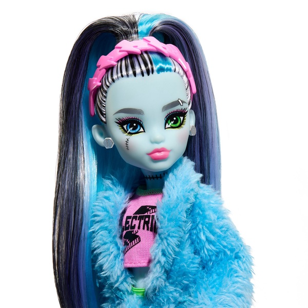 Monster High Puppe Creepover Pyjama Party Frankie Stein Mit Haustier