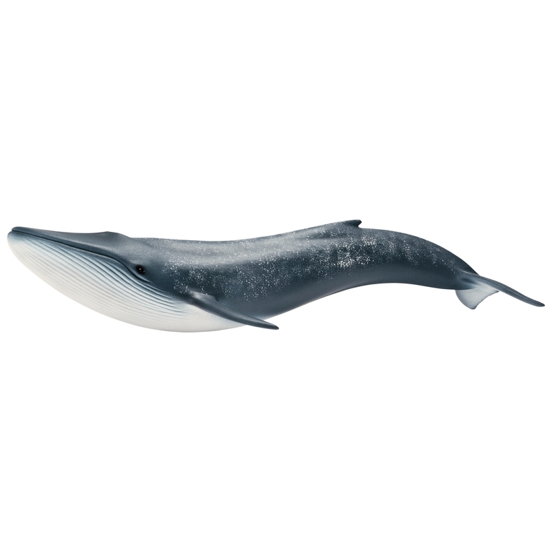 schleich WILD LIFE 14806 blauwe Vinvis