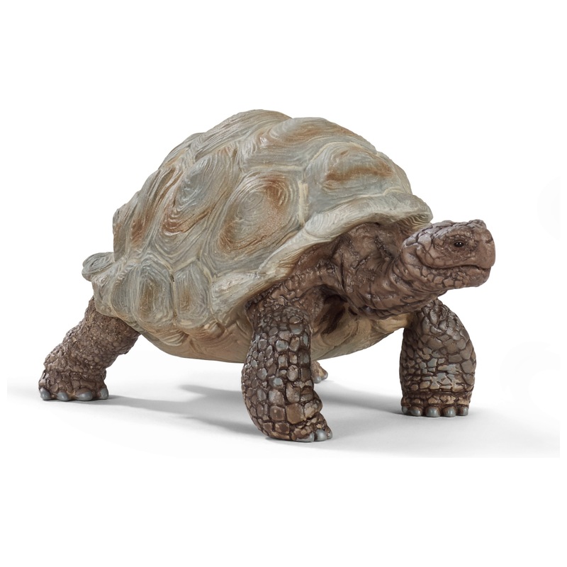 schleich WILD LIFE 14824 Reuzenschildpad