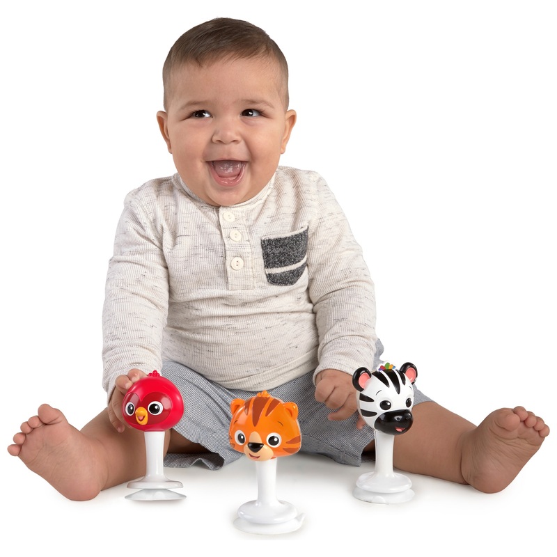 Baby Einstein Rammelaar en Rinkel Trio voor Onderweg
