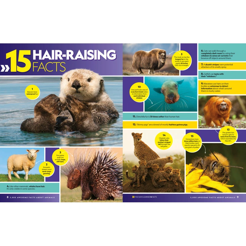 Kids reading animal facts book at home UK