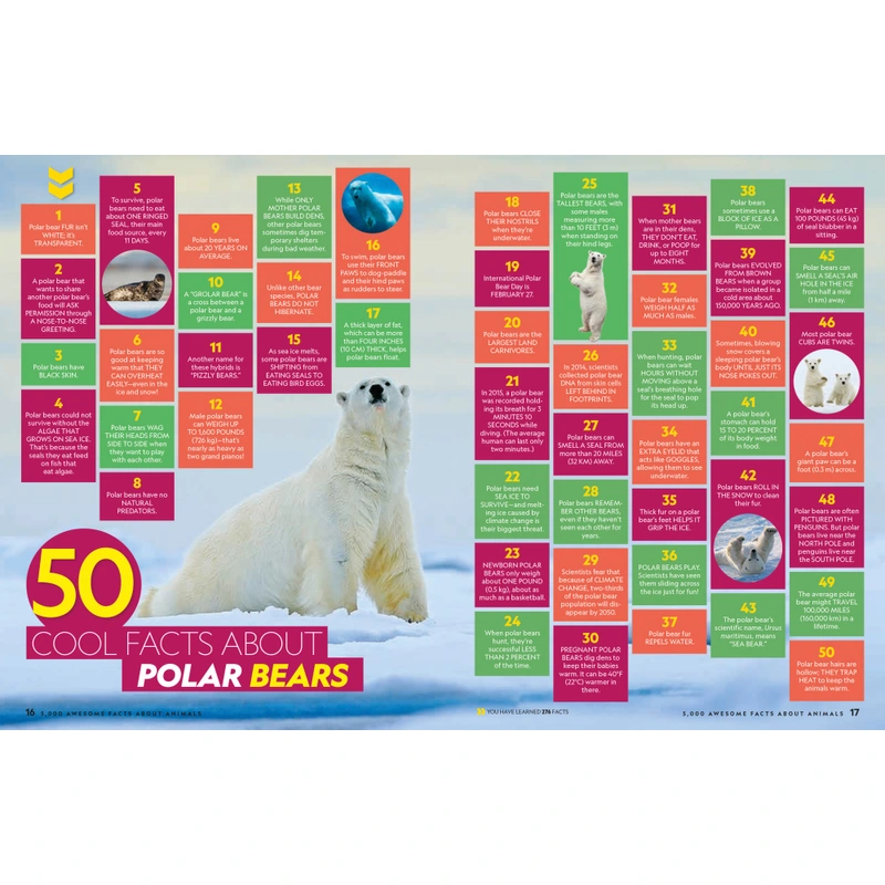 Hardback educational book for children UK