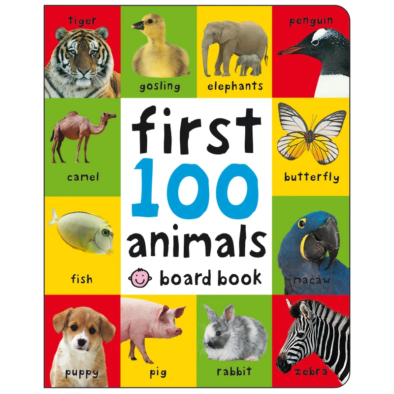Box set of first 100 words educational books UK