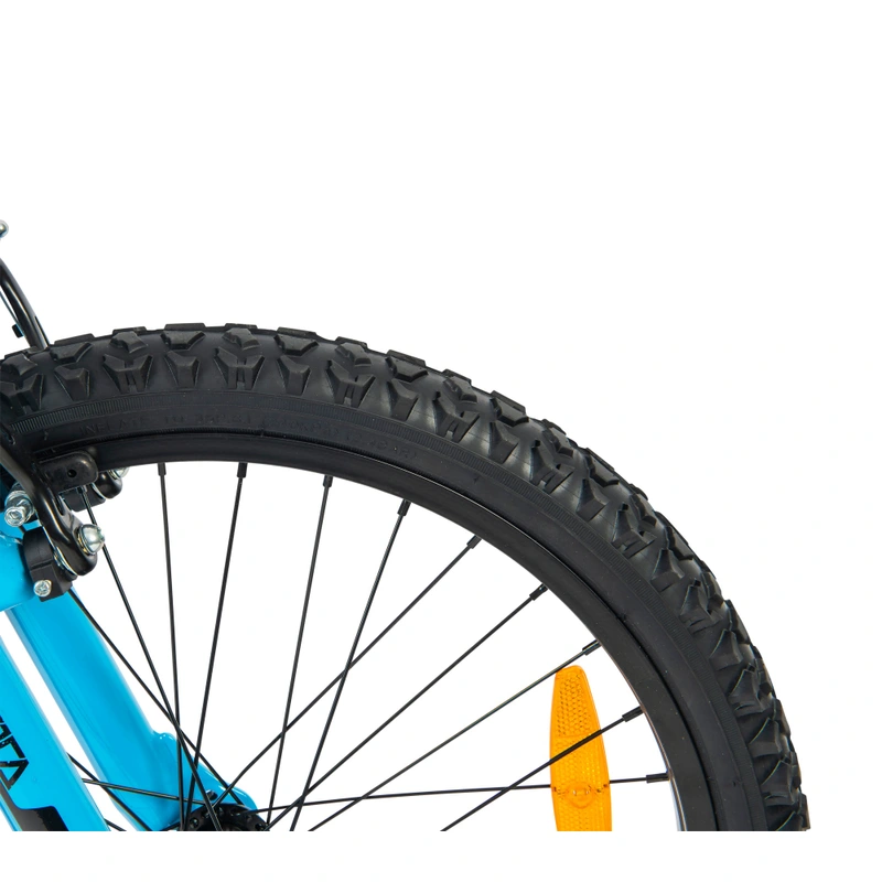 20 Inch Avoca FS20 Mountain Bike Blue view 6