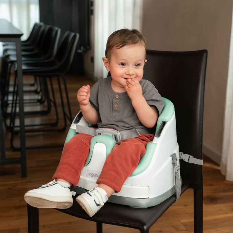 Ingenuity Baby Base 2-in-1 Booster Seat Mist Smyths Toys Ireland