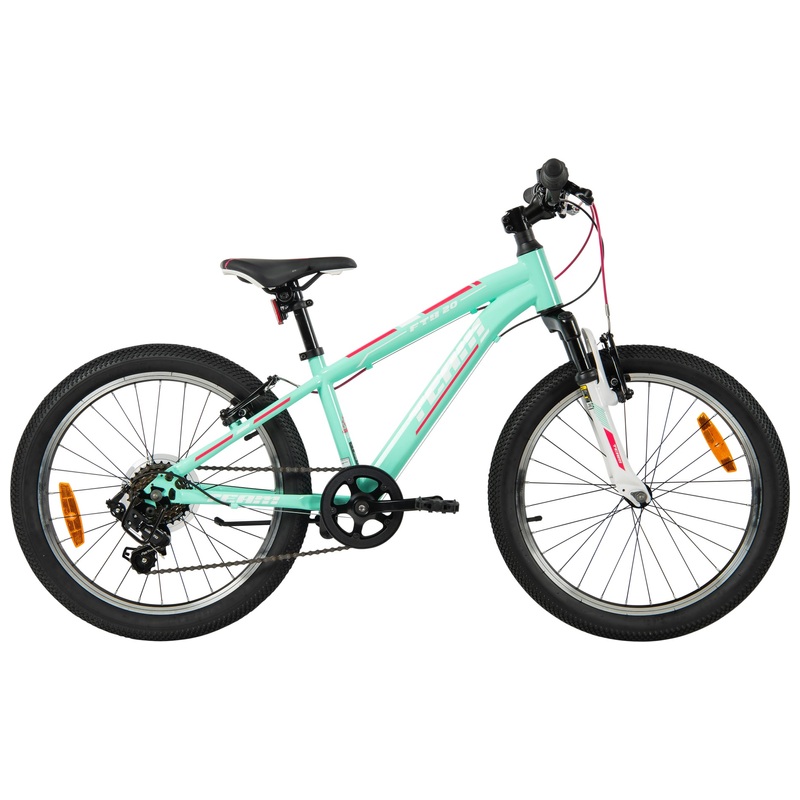 20 Inch Team Mountain Bike Mint