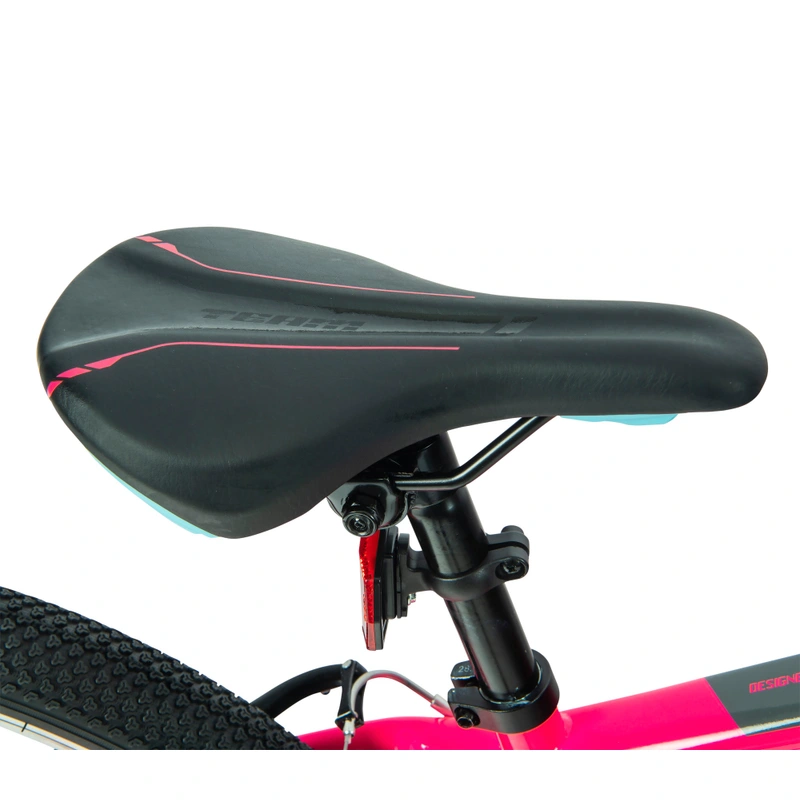 EvriBuy 24 inch bike product shot