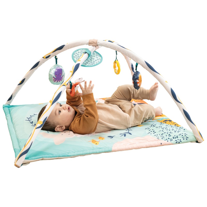 Infantino Speelkleed Ocean Gym met Babygym