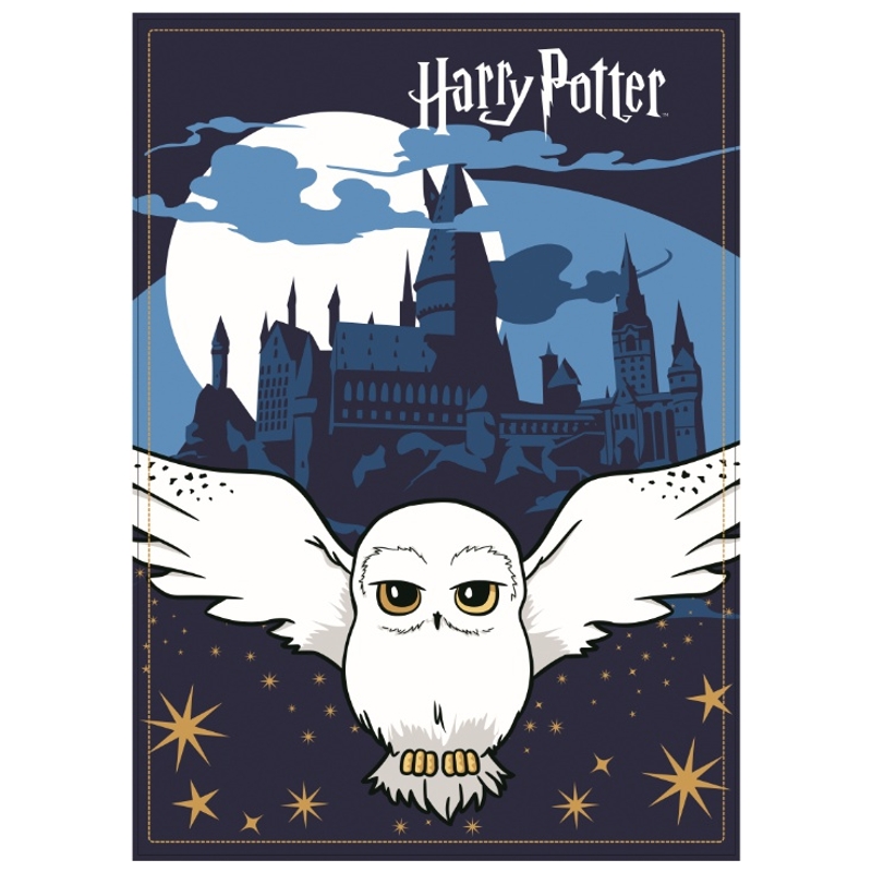 Harry Potter Fleecedeken 100 x 140 cm