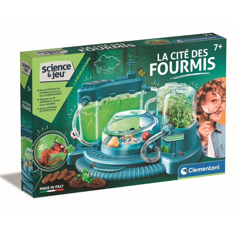 Science et Jeu - La Cité des Fourmis