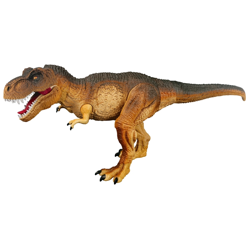 341896_3