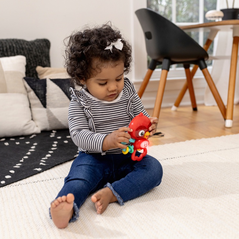 Baby Einstein Baby Speelgoed Roxy de Rode Vogel met Licht en Geluid
