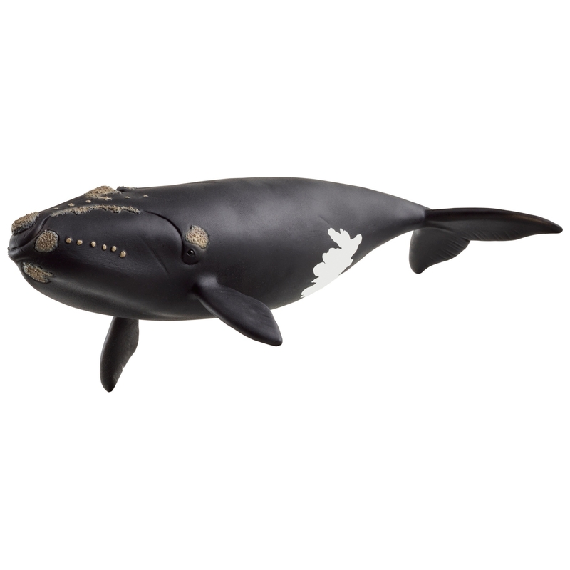 schleich Wild Life 14878 North Atlantic Whale