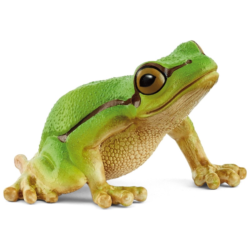 Schleich - Wild Life 14882 Figurine Rainette Verte
