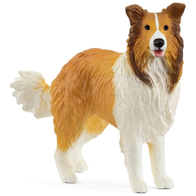 Schleich - Farm World 13998 Figurine Chien Colley