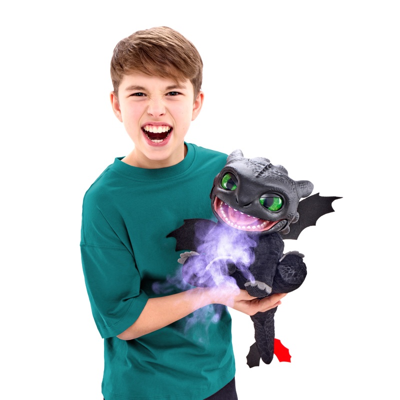 How to Train Your Dragon Real FX Interactieve Pop Toothless