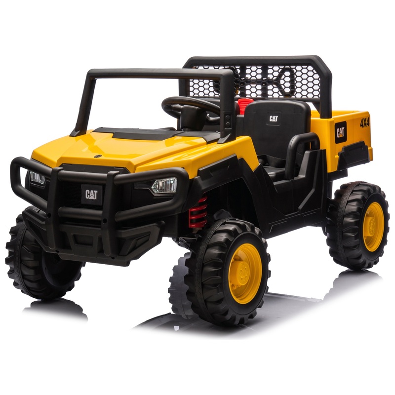 Véhicules Électrique 4X4 CAT 2 Personnes 12V