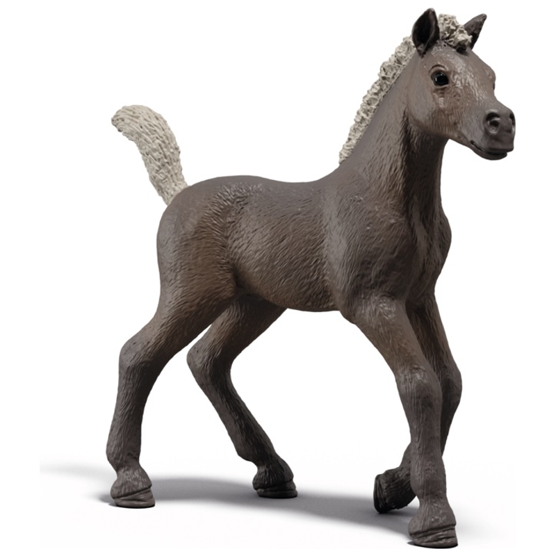 schleich HORSE CLUB 81460 Sammelfohlen Darcy