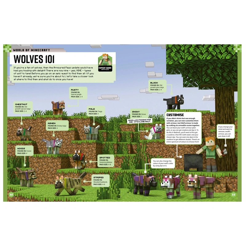 Official Minecraft book UK display