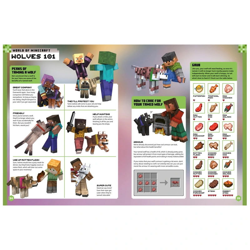 Minecraft Annual 2026 view 4