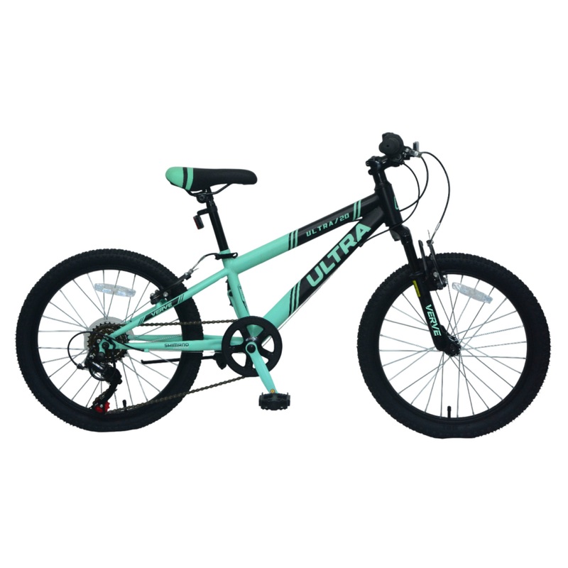 20 Inch Verve Ultra Mountain Bike Mint
