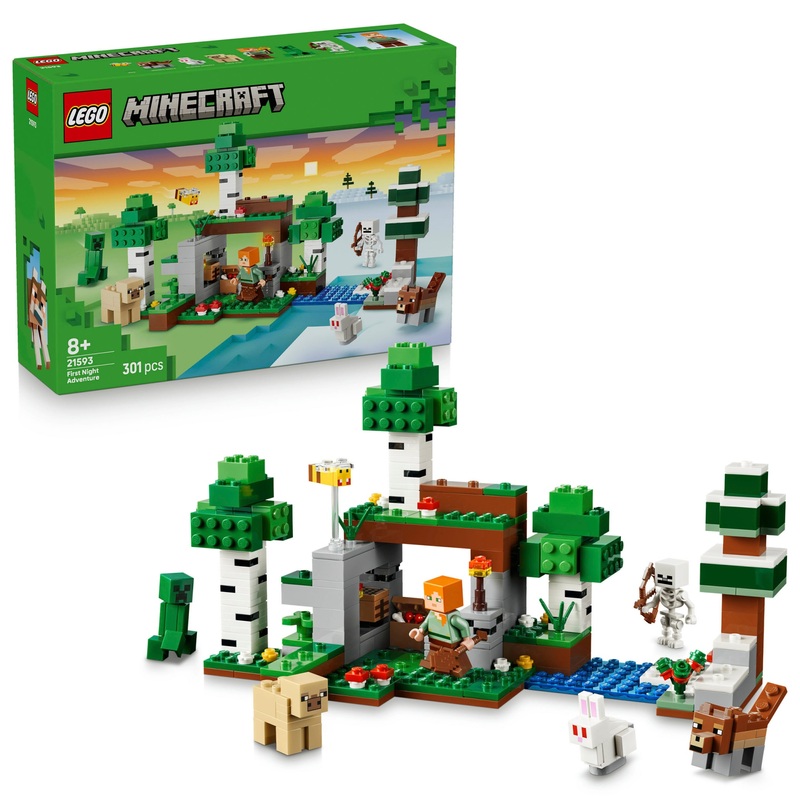 LEGO Minecraft 21593 L'Aventure de la Première Nuit