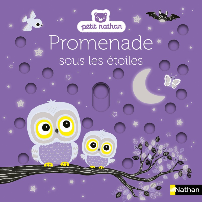 Livre Promenade Sous les Étoiles