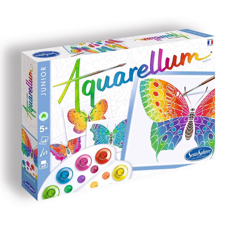 SentoSphère Aquarellum Les Oiseaux S'envolent - Kit Peinture Aquarellable Magique Dès 8 Ans