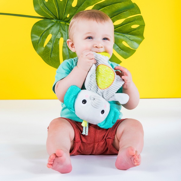 Bright Starts Snuggle and Teethe Toy | Bright Starts | Smyths Toys