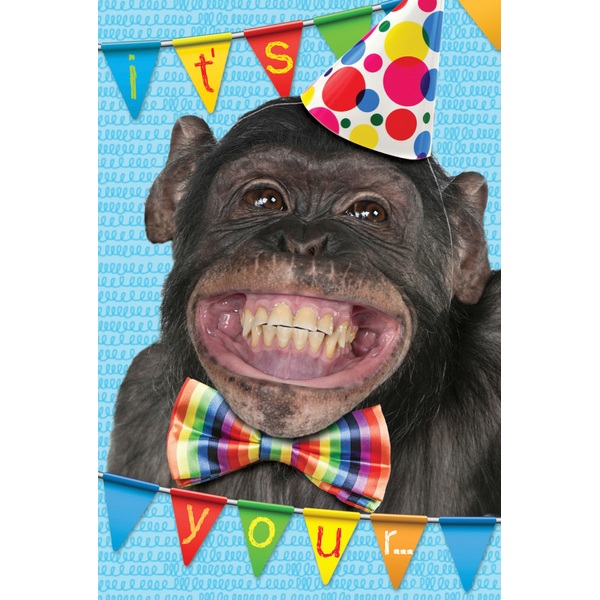  Monkey  Birthday  Card  Gift Bags Gift Wrap UK