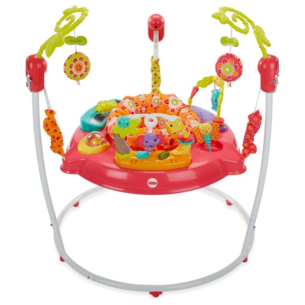 Fisher Price Pink Petals Baby Jumperoo Smyths Toys Ireland