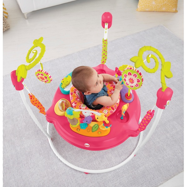 Fisher Price Pink Petals Baby Jumperoo Smyths Toys Ireland