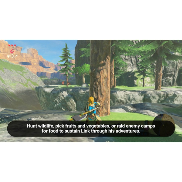 The Legend of Zelda: Breath of the Wild, Nintendo