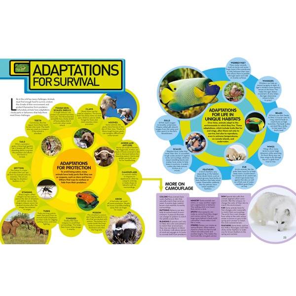 National Geographic Animal Encyclopedia Book Hardback Assortment