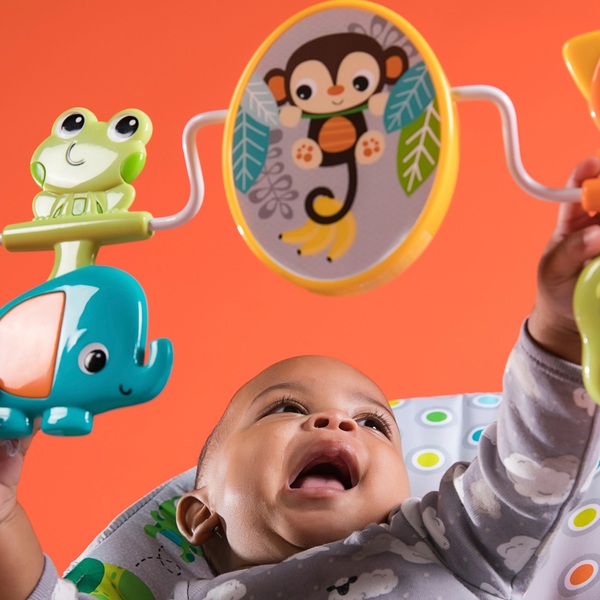 Bright Starts Monkey Business Bouncer Baby Bouncers Ireland