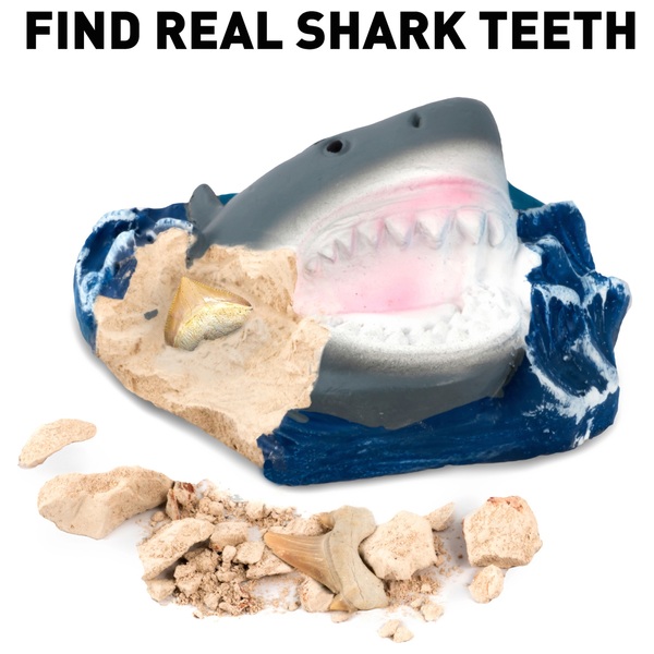 national geographic shark tooth dig