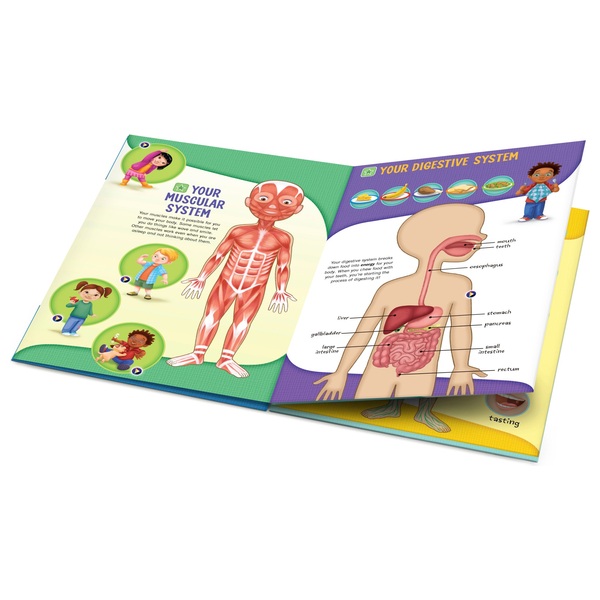 LeapFrog Human Body Pen Book Smyths Toys Ireland