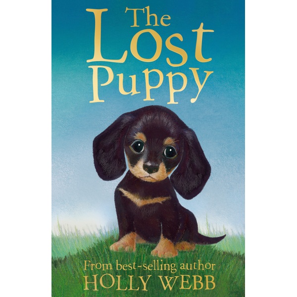 The Lost Puppy Book by Holly Webb - Smyths Toys UK