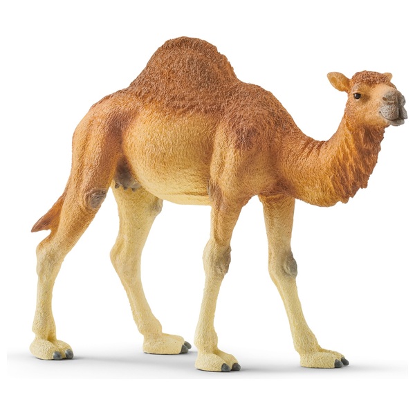 schleich Wild Life 14832 Dromedary Figure | Smyths Toys Ireland