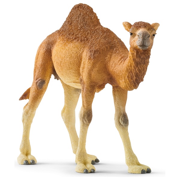 schleich Wild Life 14832 Dromedary Figure | Smyths Toys Ireland