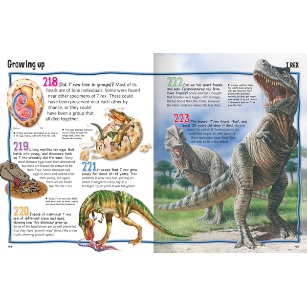 Miles Kelly Wild About Dinosaurs HB Book - Smyths Toys UK