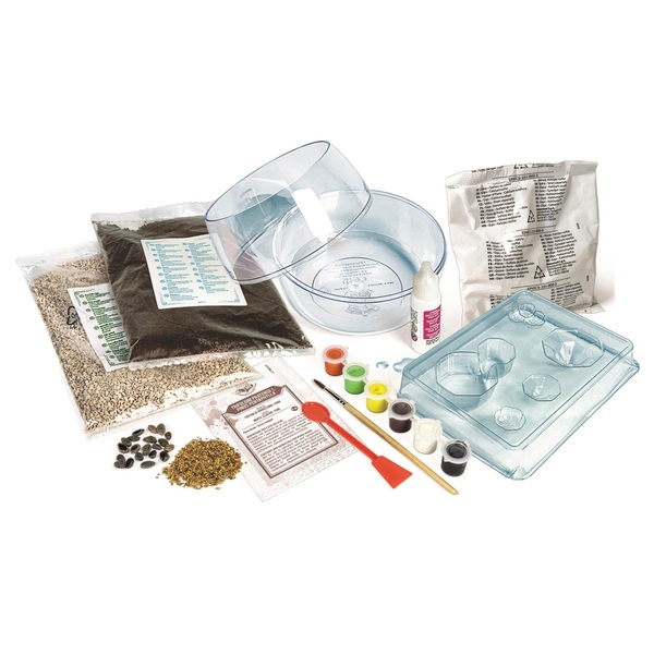 Clementoni Harry Potter Wizarding World Hagrid's Hut Terrarium Smyths