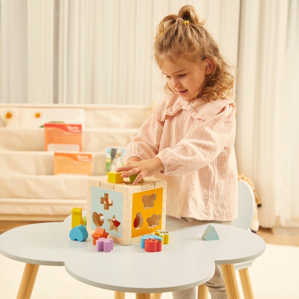 Squirrel Play Wooden Sorting Cube 8B1