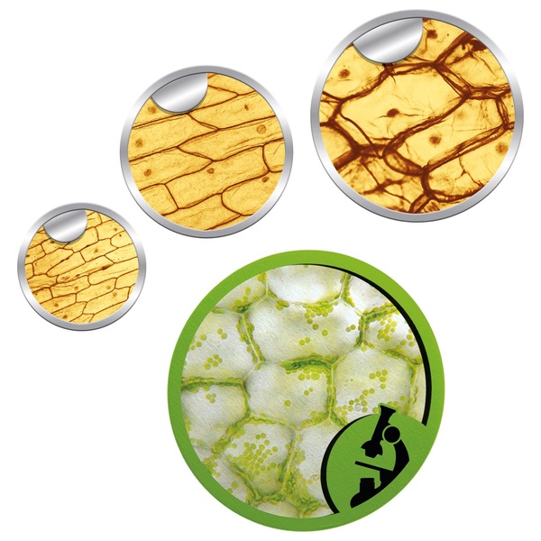 Science & Jeu La Science au Microscope Smyths Toys France