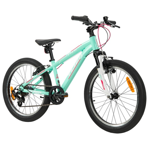 mint mountain bike