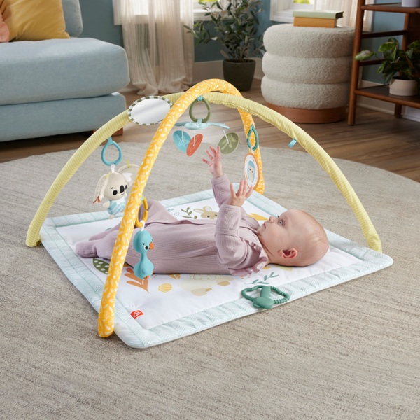 Play gym for newborn online