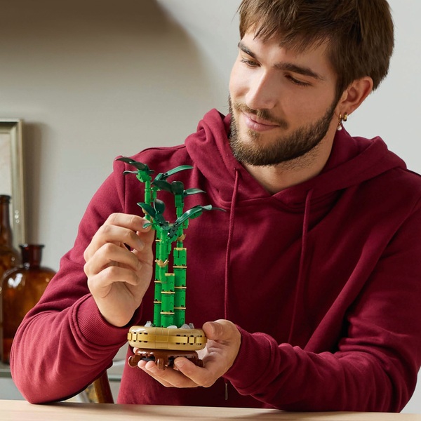 Lego botanical collection 10344 flowers lucky bamboo set for adults