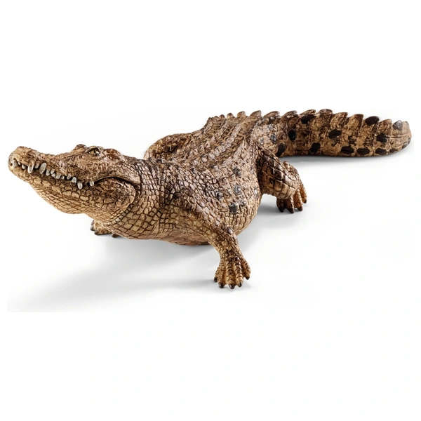 小物 WILD SWANS CROCODILE / NORMA(S) WILD SWANS CROCODILE / NORMA(S)