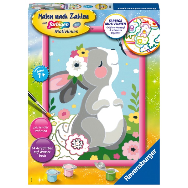 Ravensburger Malen nach Zahlen Serie D, sortiert | Smyths Toys Deutschland