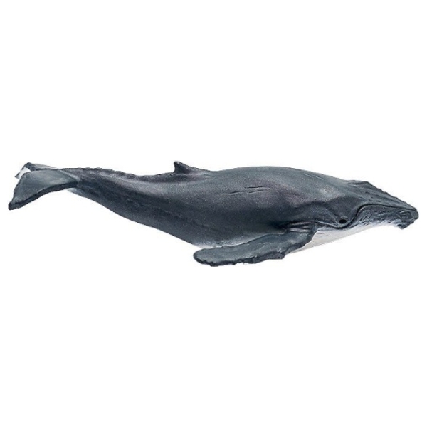 Tonies Tonie Figur WAS IST WAS Wale & Delfine & Geheimnisse Tiefsee Smyths Toys Schweiz